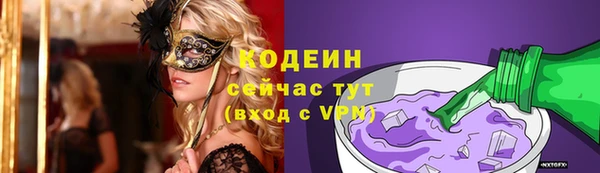 метадон Кодинск