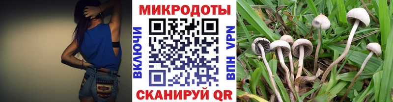Псилоцибиновые грибы MAGIC MUSHROOMS  Слободской 